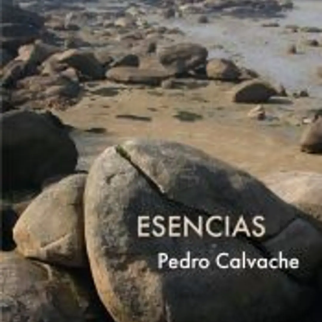 Esencias 1