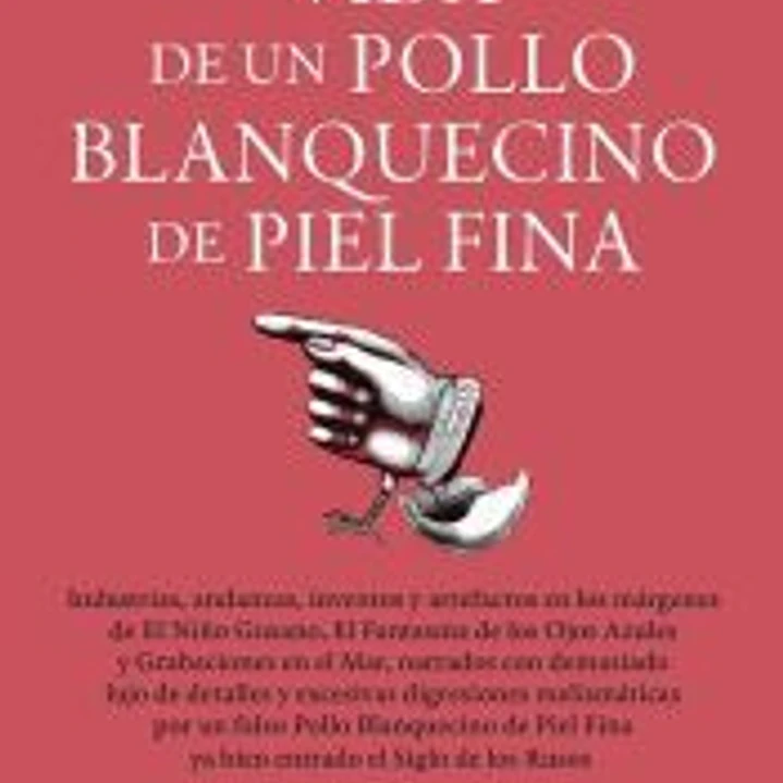 VIDA DE UN POLLO BLANQUECINO DE PIEL FINA 1