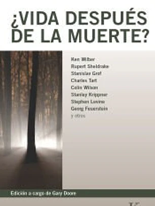 Vida después de la muerte