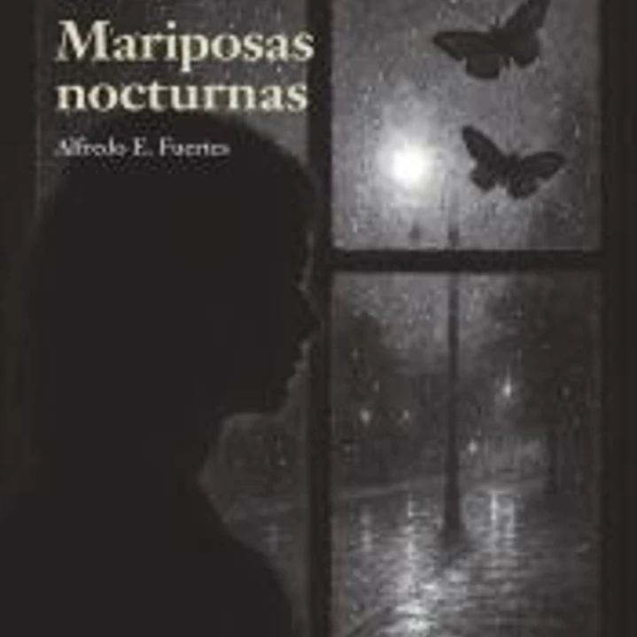 Mariposas nocturnas 1