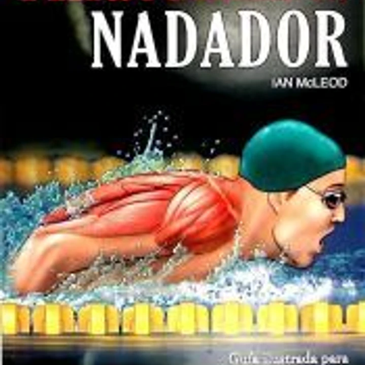 Anatomía del nadador 1