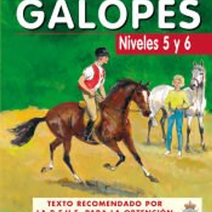 Curso de equitacion. GALOPES NIVELES 5 Y 6 1