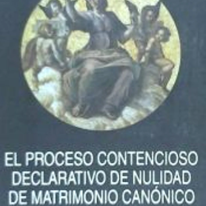 El proceso contencioso declarativo de nulidad de matrimonio 1