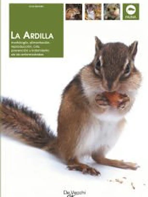 LA ARDILLA: MORFOLOGIA, ALIMENTACION, REPRODUCCION, CRIA, PREVENCION Y TRATAMIENTO DE LAS ENFERMEDADES