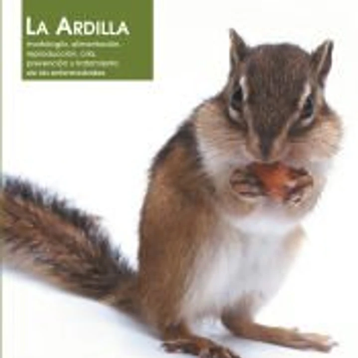 LA ARDILLA: MORFOLOGIA, ALIMENTACION, REPRODUCCION, CRIA, PREVENCION Y TRATAMIENTO DE LAS ENFERMEDADES 1