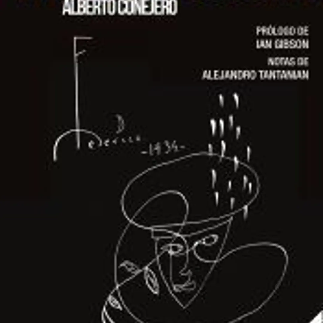 La piedra oscura 1