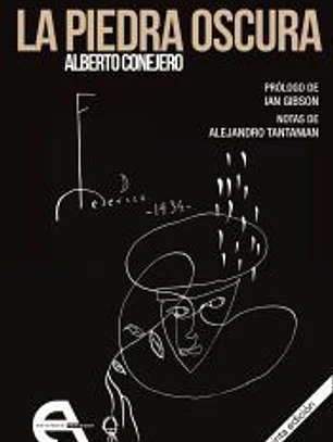La piedra oscura