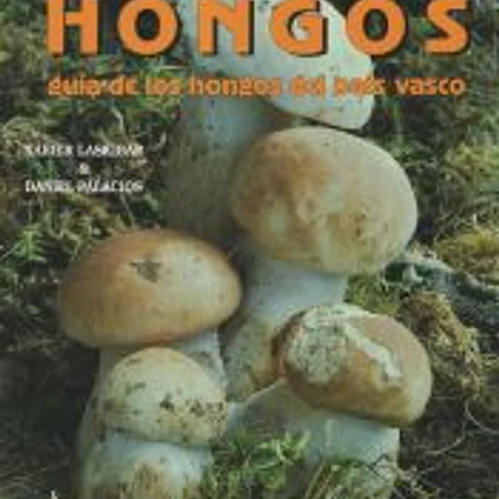 Hongos I : (setas) : guía de los hongos del País Vasco 1