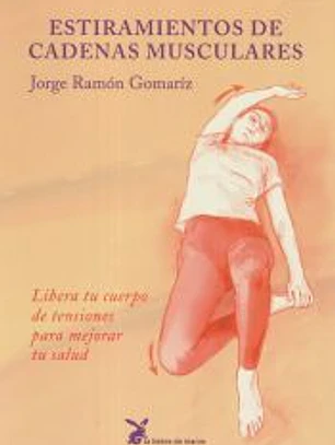 Estiramientos de cadenas musculares