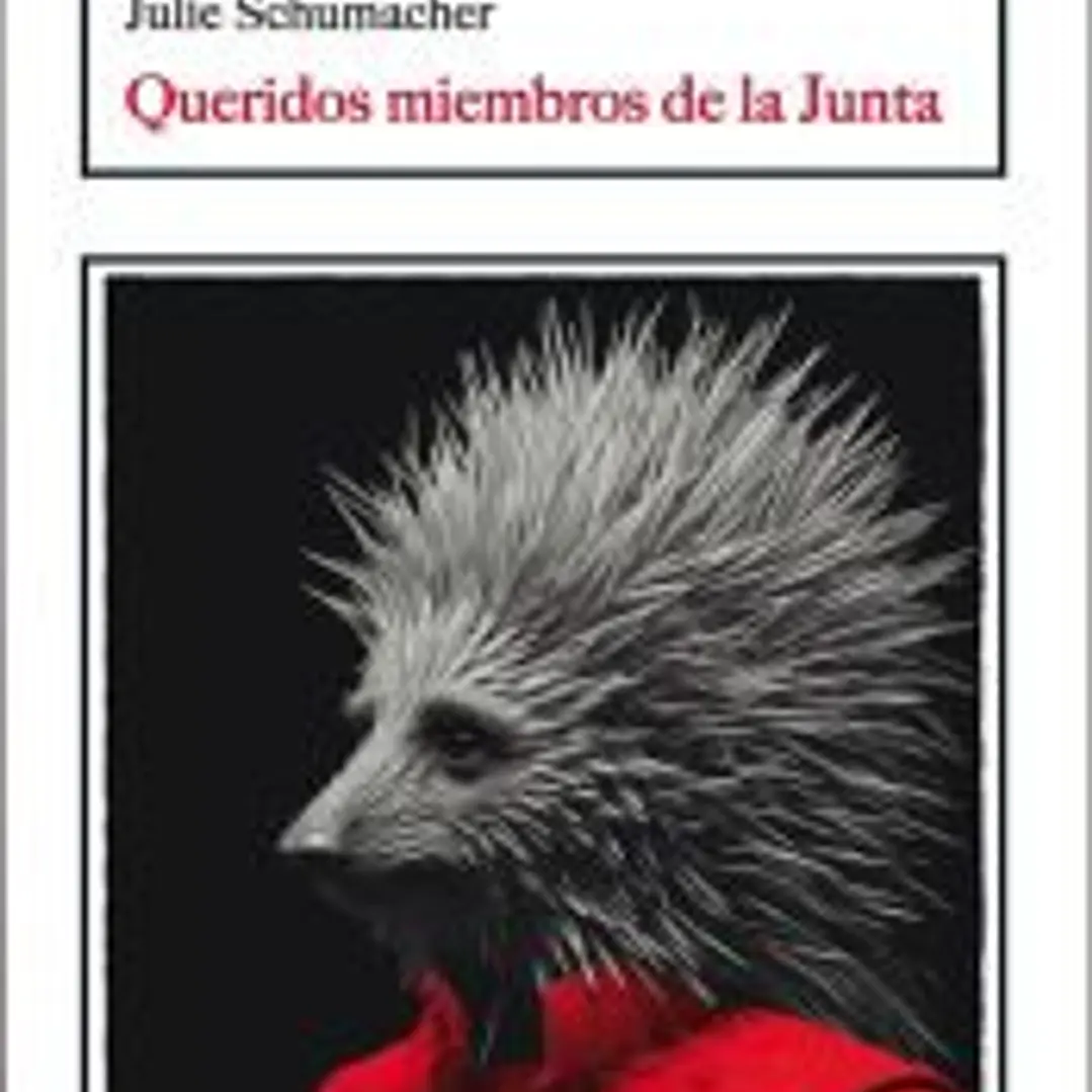 Queridos miembros de la Junta 1