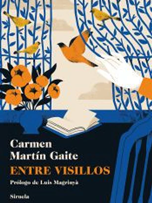 Entre visillos