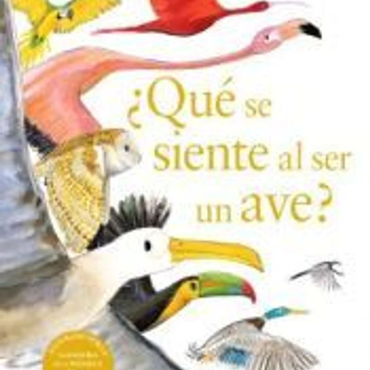 ¿Qué se siente al ser un ave? 1