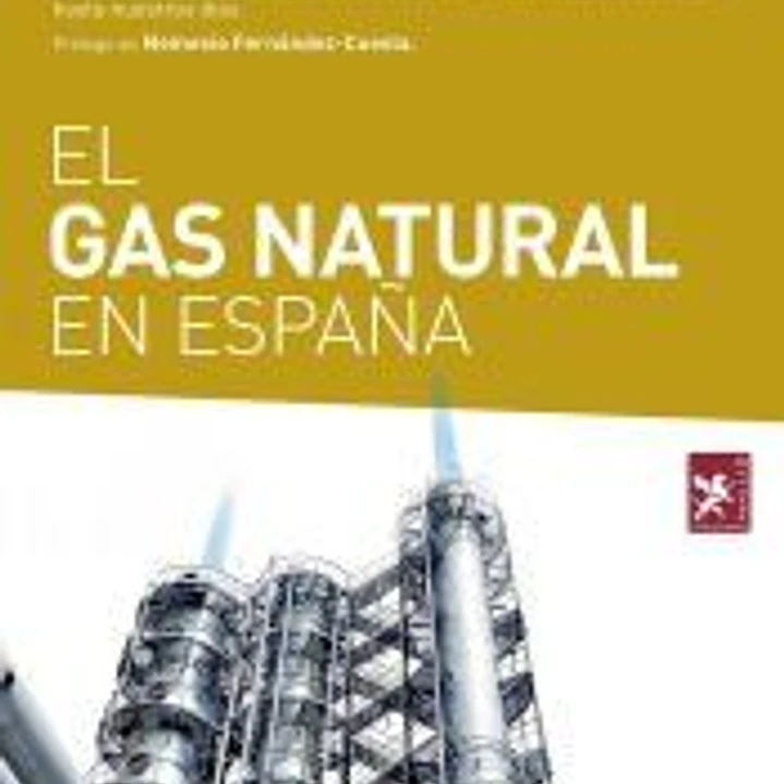 El Gas Natural en España 1