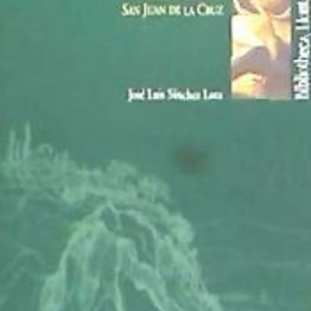 EL DISEÑO DE LA SANTIDAD: LA DESFIGURACION DE SAN JUAN DE LA CRUZ 1