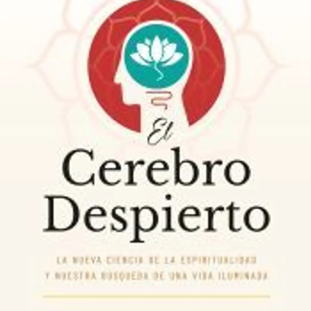 El cerebro despierto 1