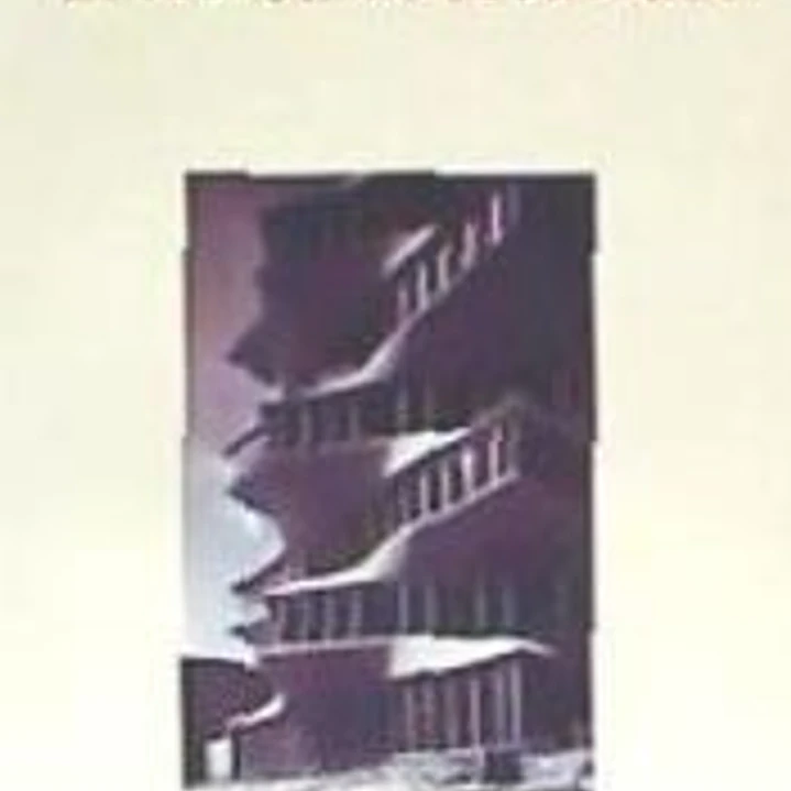 EL LADRÓN DE RECUERDOS 1