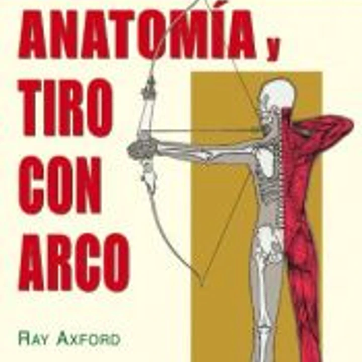 Anatomía y tiro con arco 1