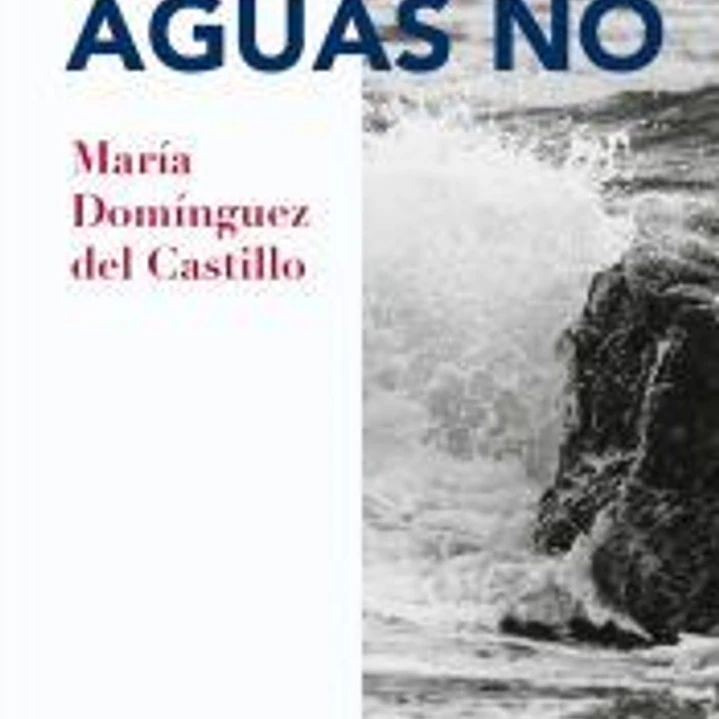 Otras aguas no 1