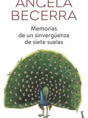Memorias de un sinvergüenza de siete suelas
