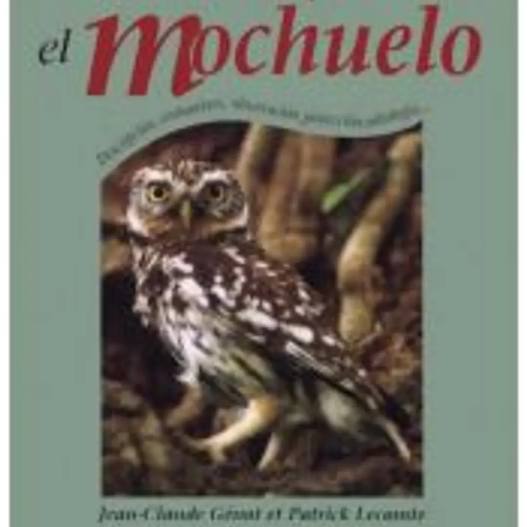 EL MOCHUELO 1
