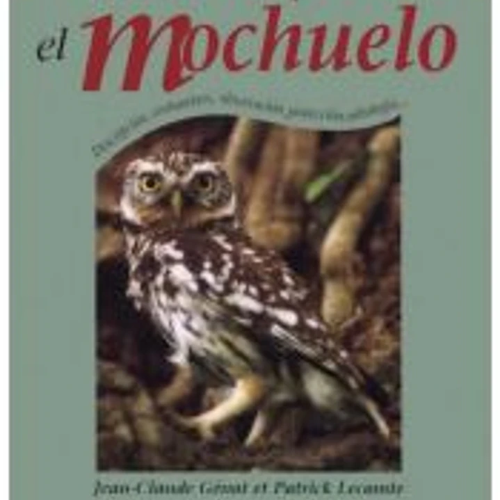 EL MOCHUELO 1