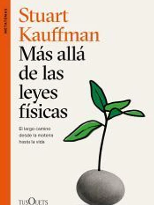 Más allá de las leyes físicas