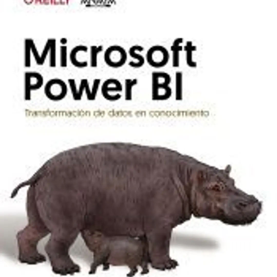 Microsoft Power BI. Transformación de datos en conocimiento 1