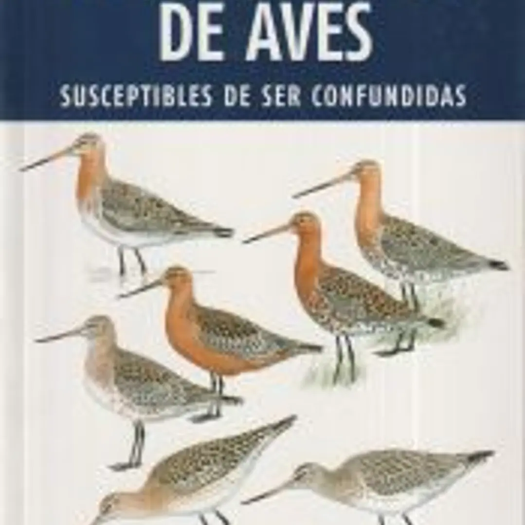 Guia de identificacion aves susceptibles de ser confundidas 1