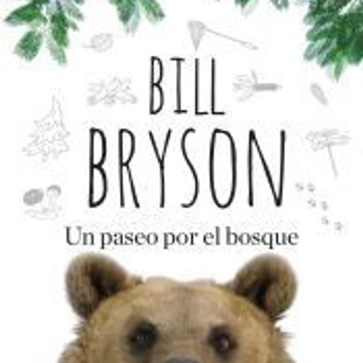 Un paseo por el bosque 1