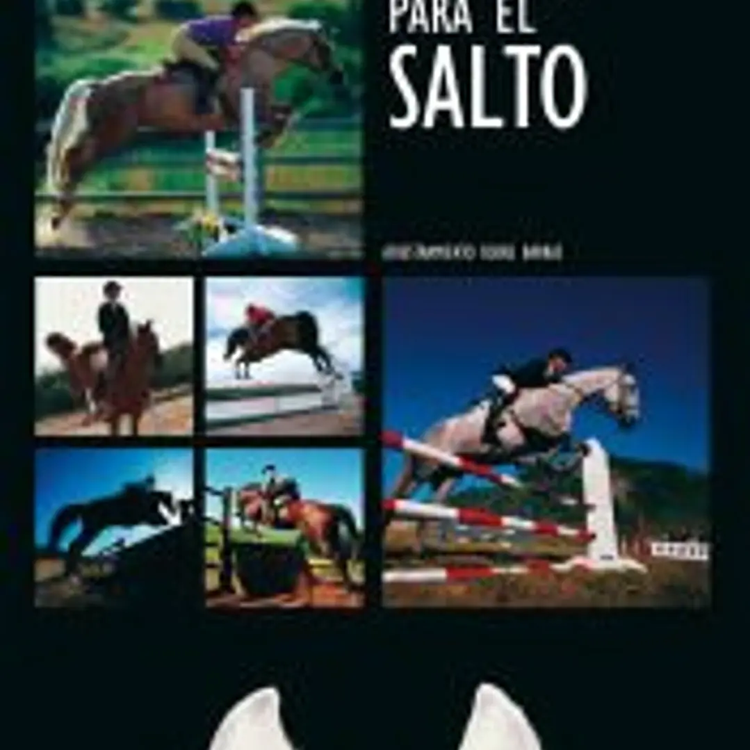 APRENDIZAJE PARA EL SALTO 1