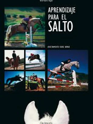 APRENDIZAJE PARA EL SALTO