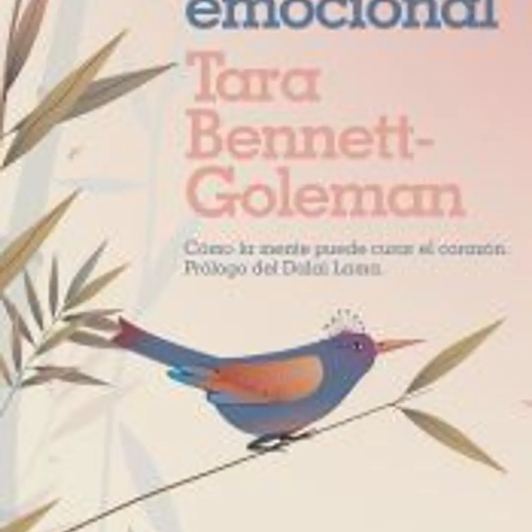 Alquimia emocional 1