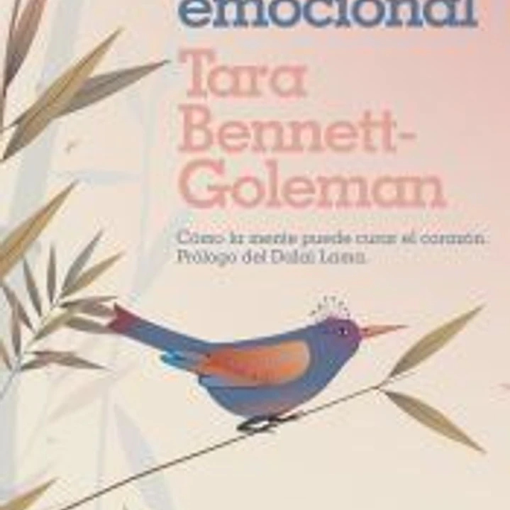 Alquimia emocional 1