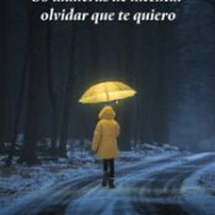 30 maneras de intentar olvidar que te quiero 1