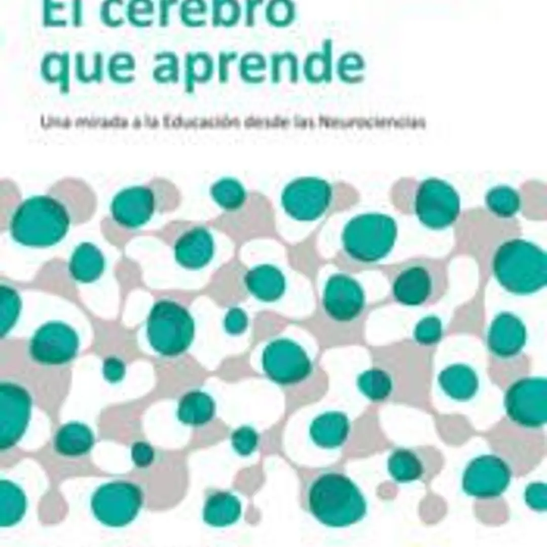 EL CEREBRO QUE APRENDE 1