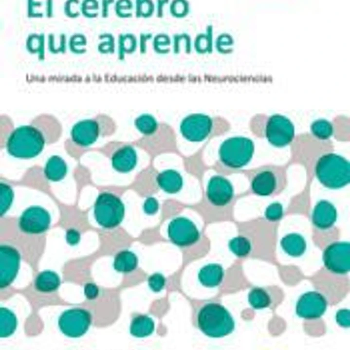 EL CEREBRO QUE APRENDE 1