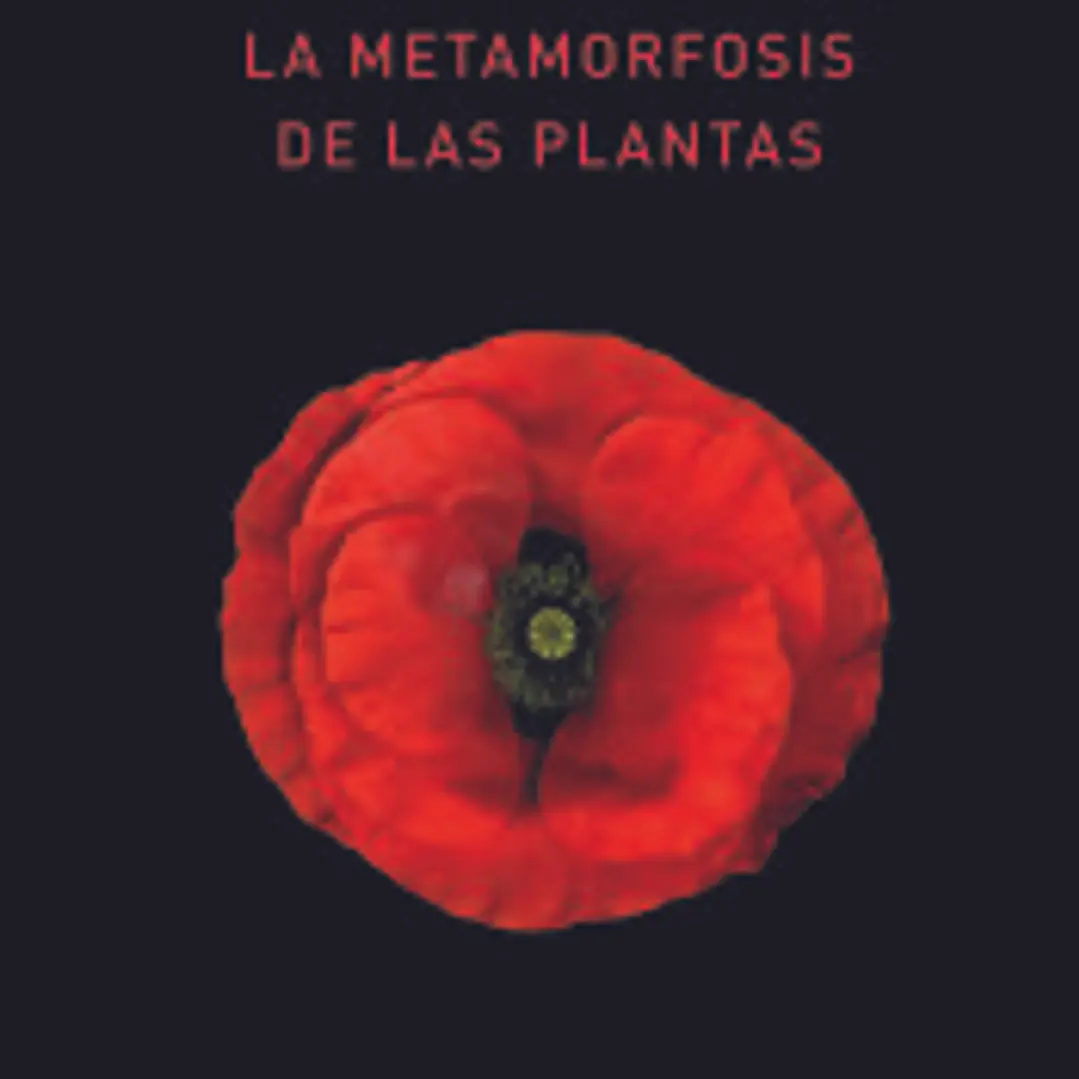 La metamorfosis de las plantas 1