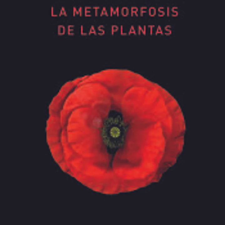 La metamorfosis de las plantas 1