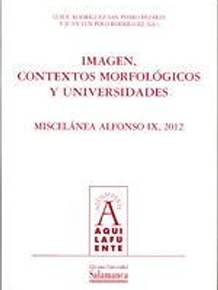 Imagen, contextos morfológicos y universidades