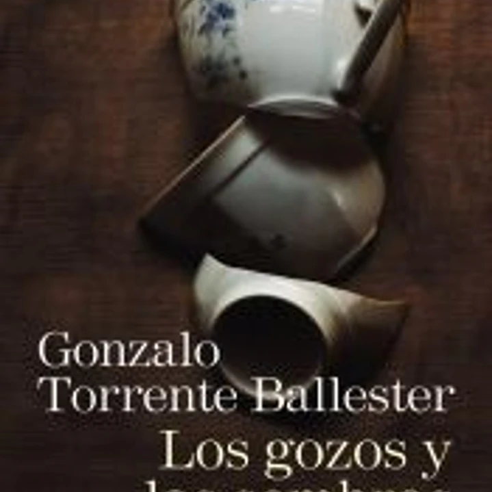 Los gozos y las sombras. 1. El señor llega 1