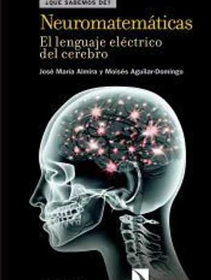 Neuromatemáticas