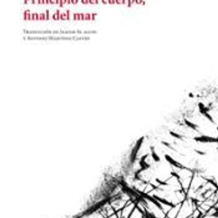 Principio del cuerpo, final del mar 1