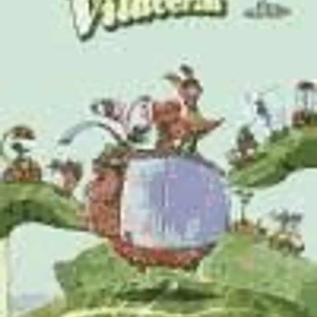 Vilaverzas 1