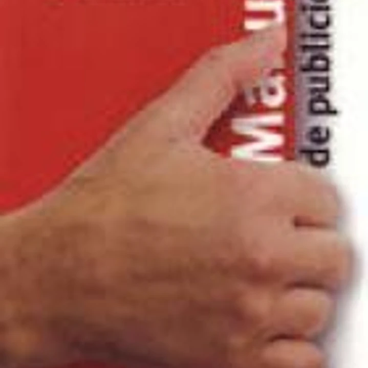 MANUAL DE PUBLICIDAD 1