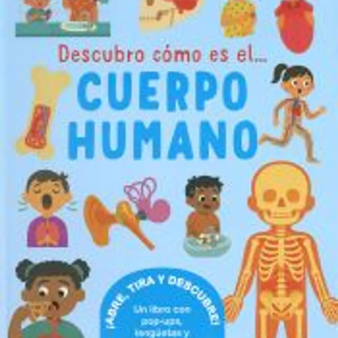 Descubro cómo es el cuerpo humano 1