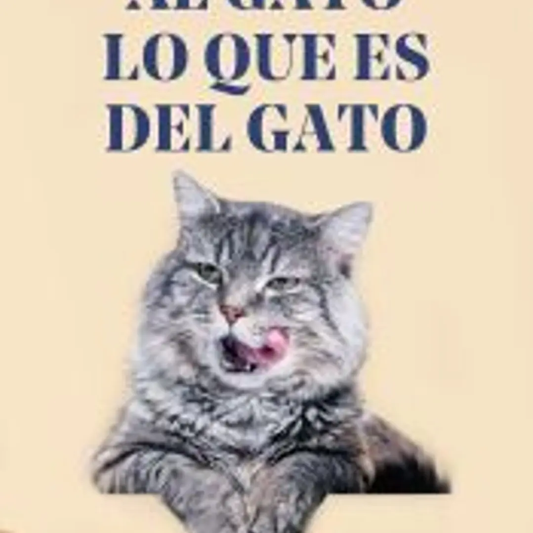 Al gato lo que es del gato 1