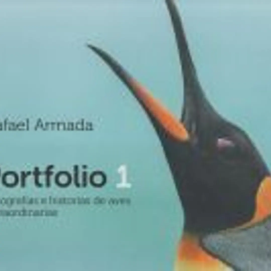 Portfolio 1: Fotografías e historias de aves extraordinarias 1