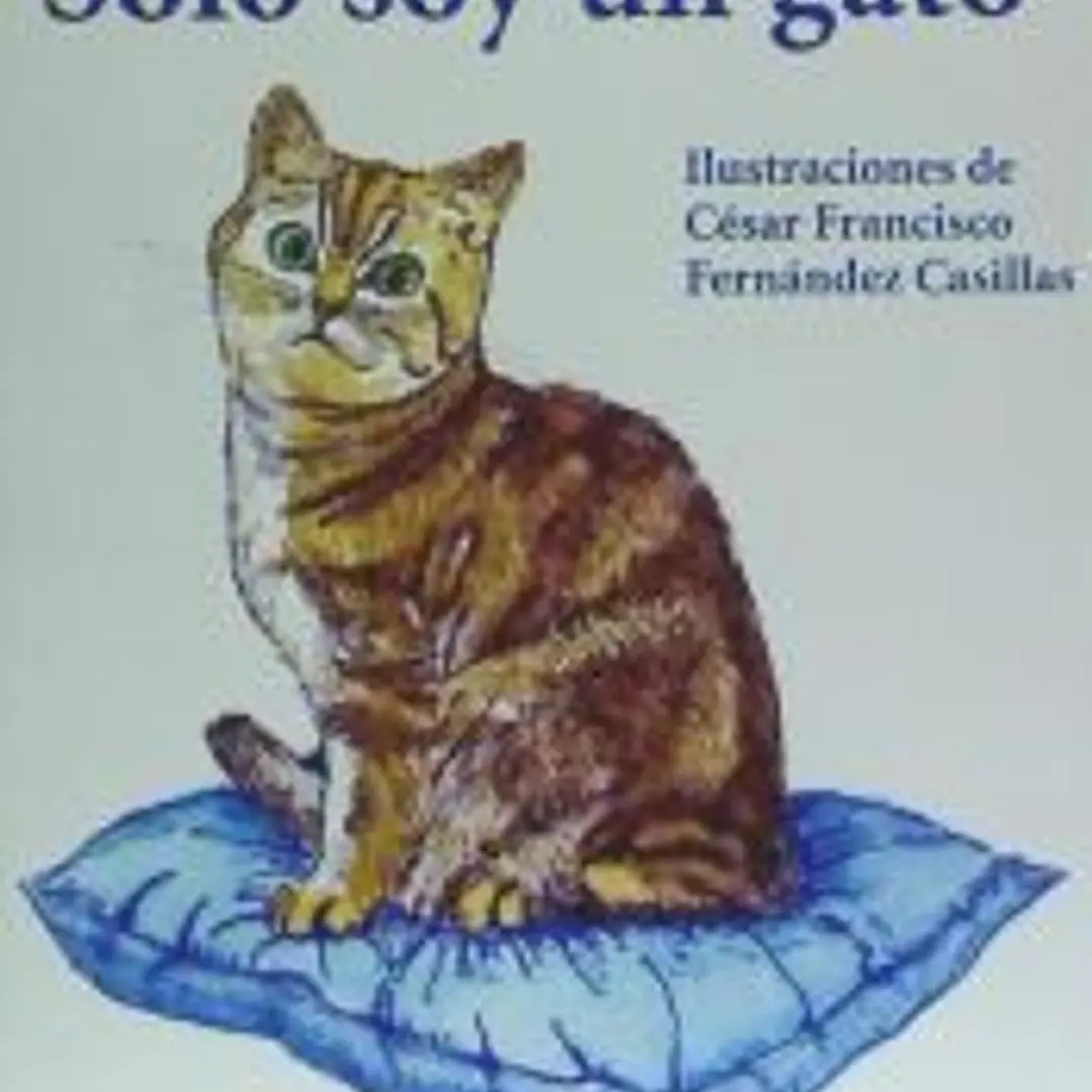 Solo soy un gato 1