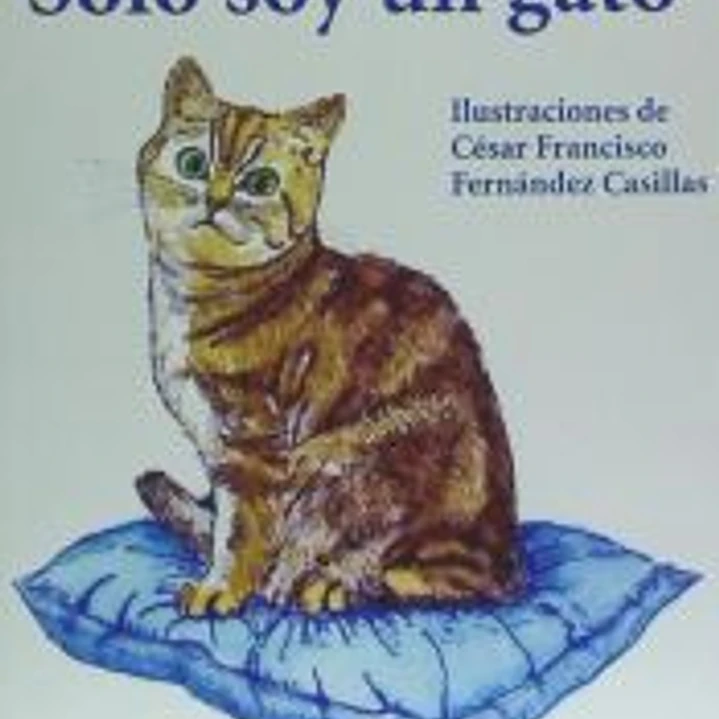 Solo soy un gato 1