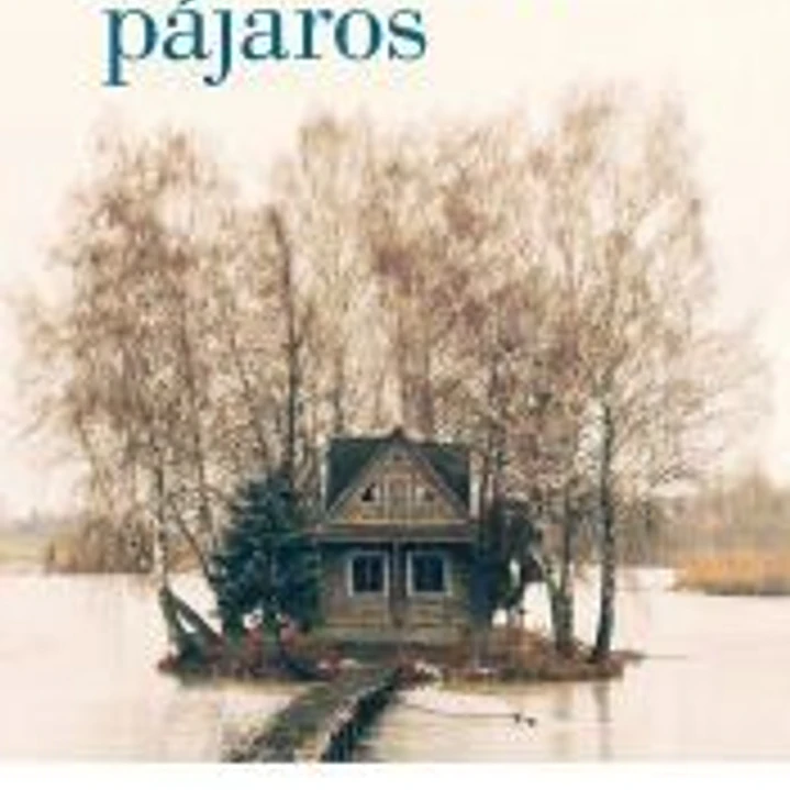Y llovieron pájaros 1